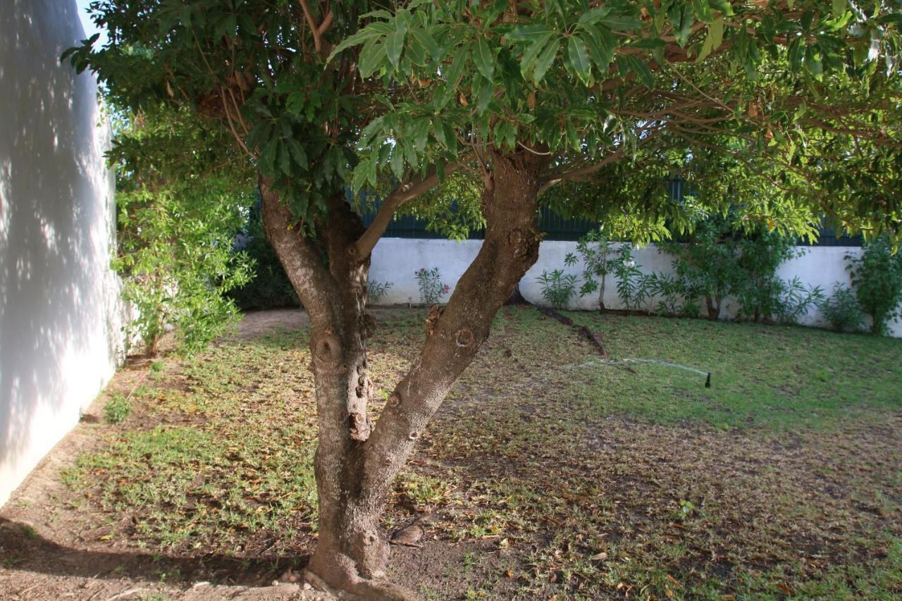 Villa Jacaranda - 550M From The Beach - Free Wifi - By Bedzy Albufeira Esterno foto